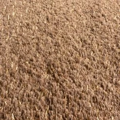 Best deal 🔥 Miranda Haus Cerise Shag Indoor Area Rug Cream 🔔 -Miranda Haus Shop unnamed file 1360