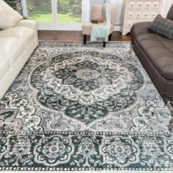 Hot Sale 😍 Miranda Haus Kellan Oriental Medallion Farmhouse Area Rug Ginger ✔️ -Miranda Haus Shop unnamed file 1693