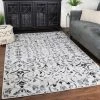 New ✨ Miranda Haus Arrigo Traditional Floral Scroll Area Rug Platinum 🎉 -Miranda Haus Shop unnamed file 1972
