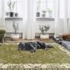 New 👍 Miranda Haus Stratton Oriental Floral Medallion Area Rug Collection Sage 🥰 -Miranda Haus Shop unnamed file 2060