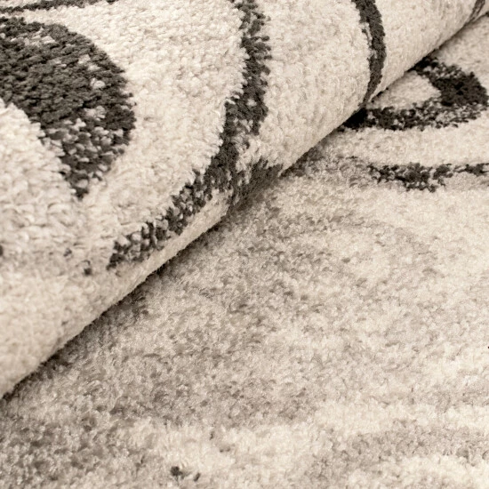 Brand new π Miranda Haus Designer Blazon Indoor Area Rug β 7 Brand new π Miranda Haus Designer Blazon Indoor Area Rug β - Image 5