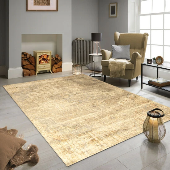 Promo β Miranda Haus Dowling Distressed Medallion Distressed Area Rug π€© 3 Promo β Miranda Haus Dowling Distressed Medallion Distressed Area Rug π€©