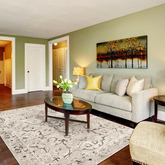 Top 10 π₯° Miranda Haus Peoria Modern Floral Area Rug Platinum π 3 Top 10 π₯° Miranda Haus Peoria Modern Floral Area Rug Platinum π