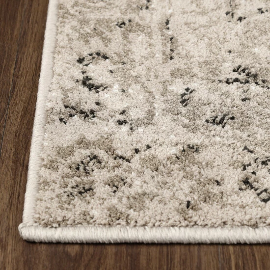 Top 10 π₯° Miranda Haus Peoria Modern Floral Area Rug Platinum π 5 Top 10 π₯° Miranda Haus Peoria Modern Floral Area Rug Platinum π - Image 3