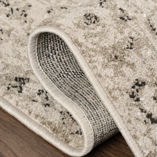 Top 10 π₯° Miranda Haus Peoria Modern Floral Area Rug Platinum π 8 Top 10 π₯° Miranda Haus Peoria Modern Floral Area Rug Platinum π - Image 6