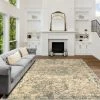 Promo 🧨 Miranda Haus Amaris Distressed Medallion Area Rug ❤️ -Miranda Haus Shop unnamed file 642