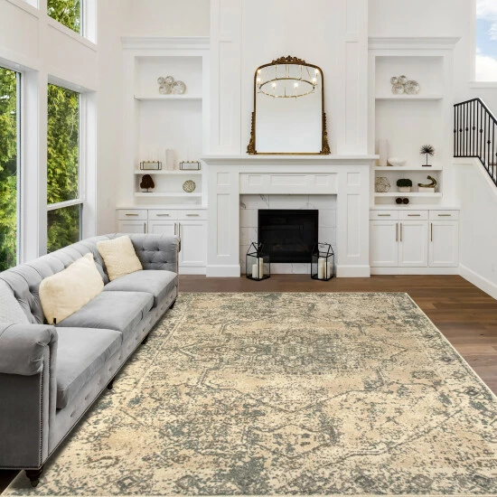 Promo 🧨 Miranda Haus Amaris Distressed Medallion Area Rug ❤️ 3 Promo 🧨 Miranda Haus Amaris Distressed Medallion Area Rug ❤️