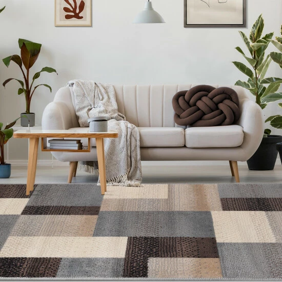 Coupon ๐งจ Miranda Haus Modern Geometric Area Rug Grey-brown ๐ 3 Coupon ๐งจ Miranda Haus Modern Geometric Area Rug Grey-brown ๐